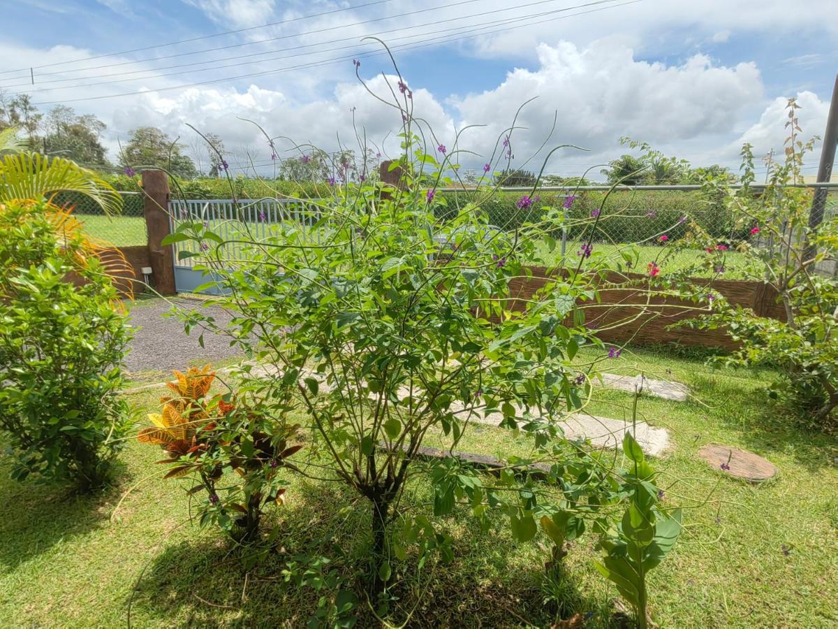 Arenal Homes La Fortuna ภายนอก รูปภาพ